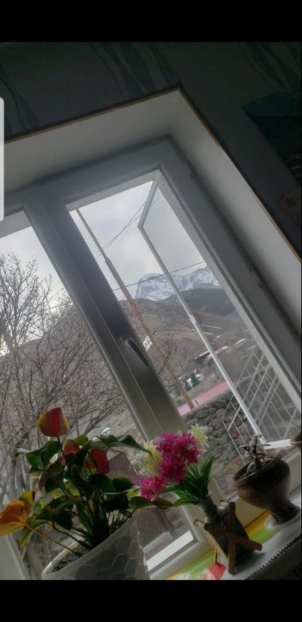 Guest House Dodo Kazbegi Eksteriør billede