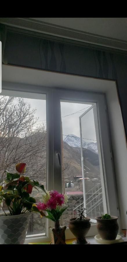 Guest House Dodo Kazbegi Eksteriør billede
